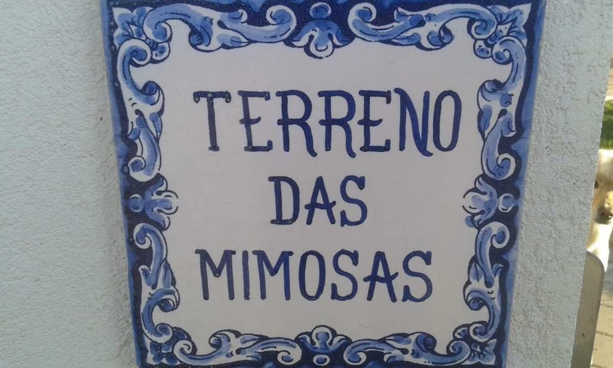 Terreno Das Mimosas Aveiro Extérieur photo